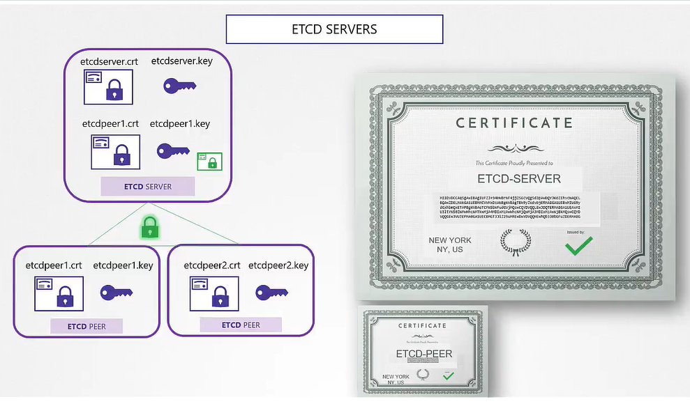 etc1