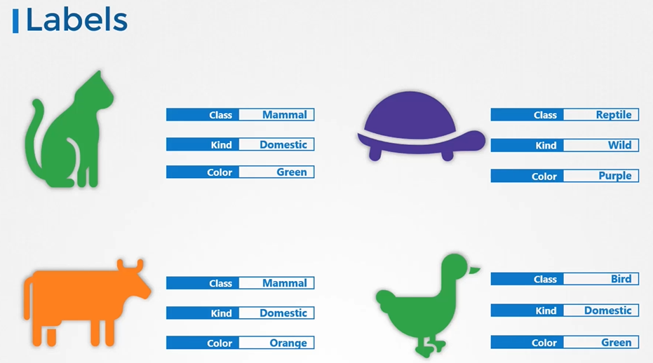labels-ckc